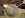 DSC00405HO52.jpg