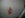 DSCN2305.JPG