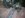 DSCN2338.JPG