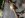DSCN1105.JPG