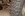 MND_0236-xsm.jpg