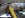Shocks1 002.jpg