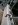 DSCN2528.JPG