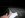 DSCN2540.JPG