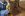 dcp_5672DriversApillar.jpg