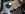 tripleshifters 026.jpg