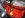 DSCN0716.JPG