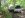 920580262112_0_ALB.jpg