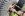 dcp_6114MTRs.jpg