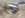 more 29rd_0194.JPG