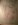 DSCF0104.JPG