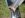 Picture 188 s.JPG