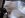 new motor tbi350 007.jpg