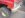 DSCN0516.JPG