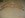 DSC00040.JPG