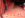 DSC01103DriversInnerBed.jpg