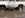 tuttle creek 012.JPG