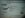 CIMG9701.JPG