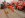DSC01261XMemberPainted.jpg