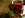 stuck trip 003.jpg