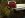 stuck trip 009.jpg