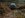 stuck trip 011.jpg