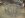 cage 1.jpg