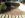 IMG_3599.JPG IMG_3599.JPG