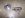 63haBLING.JPG