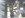 Pinion4.jpg Pinion4.jpg