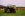 Green79ChevyTractorTire3.jpg