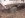 wheelin pics and vids 021.jpg
