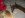 Johns_Deer_11-25_001.jpg