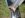 Picture 188 s.JPG