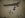 DSC04147.JPG
