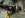 DSC01516BallisticArms.jpg