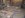 Picture 368 s.JPG