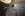 snowpics 007.jpg