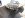 IMG_2091.jpg IMG_2091.jpg