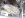 020809_1443%5B00%5D[2].jpg