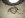 84 454 eng wrng (Small).jpg