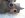 673439815112_0_ALB.jpg