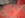 DSC01742ExtraHolesPassSide.jpg