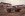 n561410913_389033_342[1].jpg