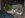 11 2 08  Last Belt Toss Dumpster Vids 016.jpg