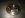 DSC01135.jpg