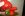 Strawberry 002.jpg
