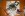 resized006.jpg