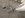 Suburban 054.jpg