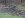 403691095112_0_ALB.jpg